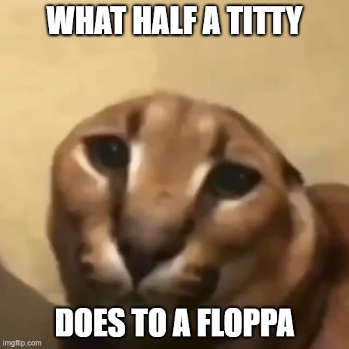 big floppa | WHAT HALF A TITTY; DOES TO A FLOPPA | image tagged in big floppa | made w/ Imgflip meme maker