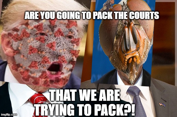 Trump & Pence | ARE YOU GOING TO PACK THE COURTS; THAT WE ARE TRYING TO PACK?! | image tagged in trump pence,MarchAgainstTrump | made w/ Imgflip meme maker