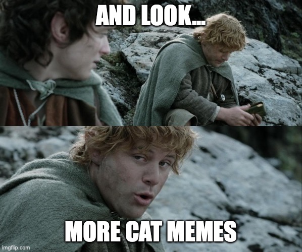 More Cat Memes | AND LOOK... MORE CAT MEMES | image tagged in sam gamgee lembas bread,cat memes | made w/ Imgflip meme maker
