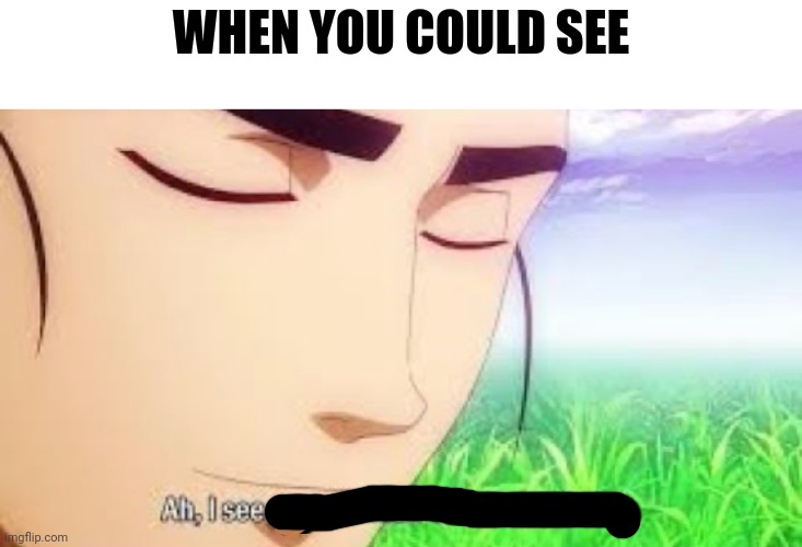 I see | WHEN YOU COULD SEE | image tagged in ah i see your a man of culture as well | made w/ Imgflip meme maker