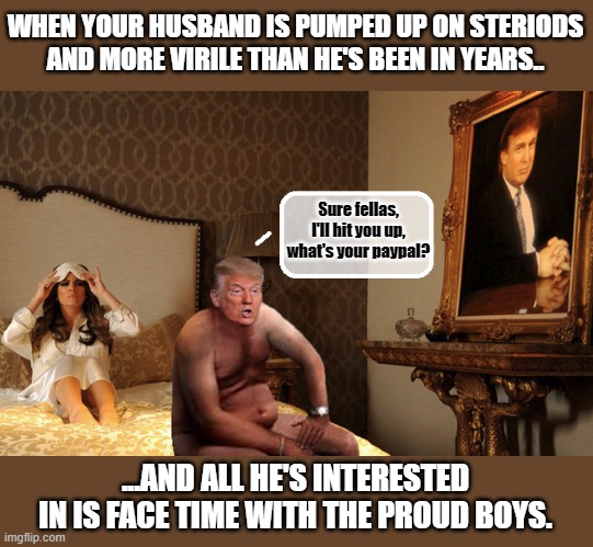 Meanwhile, in the White House Love Nest.... | WHEN YOUR HUSBAND IS PUMPED UP ON STERIODS AND MORE VIRILE THAN HE'S BEEN IN YEARS.. Sure fellas, I'll hit you up, what's your paypal? ...AND ALL HE'S INTERESTED IN IS FACE TIME WITH THE PROUD BOYS. | image tagged in donald trump is an idiot,trump is a moron,covid-19 | made w/ Imgflip meme maker