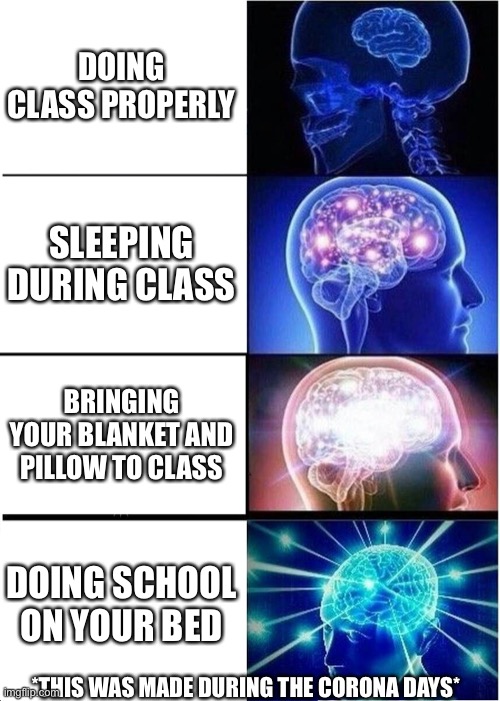 Expanding Brain Meme | DOING CLASS PROPERLY; SLEEPING DURING CLASS; BRINGING YOUR BLANKET AND PILLOW TO CLASS; DOING SCHOOL ON YOUR BED; *THIS WAS MADE DURING THE CORONA DAYS* | image tagged in memes,expanding brain | made w/ Imgflip meme maker