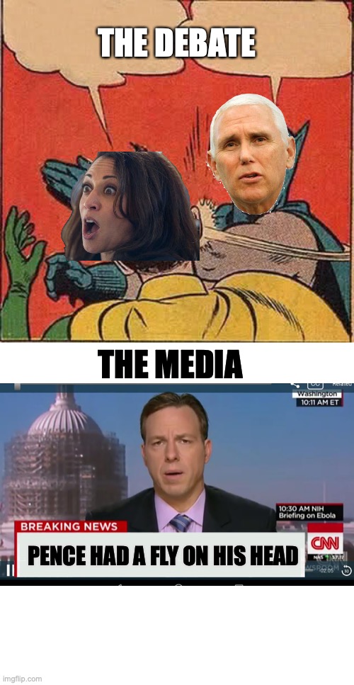 Batman Slapping Robin | THE DEBATE; THE MEDIA; PENCE HAD A FLY ON HIS HEAD | image tagged in memes,batman slapping robin | made w/ Imgflip meme maker
