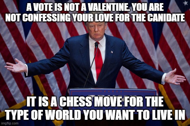 Donald Trump | A VOTE IS NOT A VALENTINE. YOU ARE NOT CONFESSING YOUR LOVE FOR THE CANIDATE; IT IS A CHESS MOVE FOR THE TYPE OF WORLD YOU WANT TO LIVE IN | image tagged in donald trump,vote | made w/ Imgflip meme maker