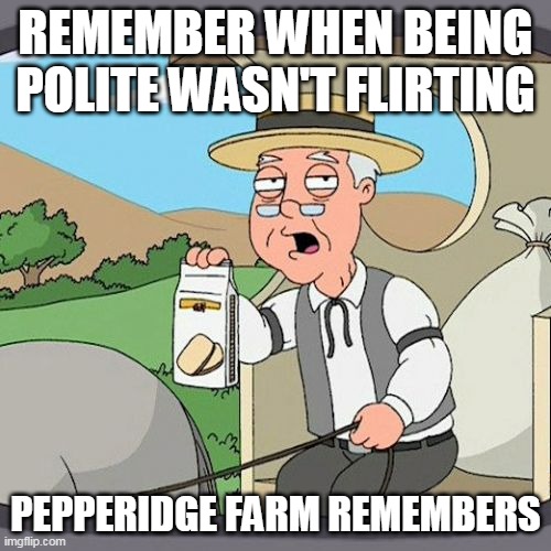 Pepperidge Farm Remembers | REMEMBER WHEN BEING POLITE WASN'T FLIRTING; PEPPERIDGE FARM REMEMBERS | image tagged in memes,pepperidge farm remembers | made w/ Imgflip meme maker