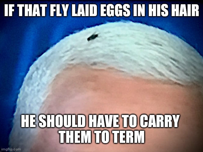 IF THAT FLY LAID EGGS IN HIS HAIR; HE SHOULD HAVE TO CARRY 
THEM TO TERM | made w/ Imgflip meme maker