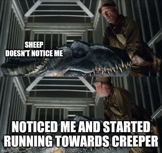 Sheep | SHEEP DOESN'T NOTICE ME; NOTICED ME AND STARTED RUNNING TOWARDS CREEPER | image tagged in indoraptor | made w/ Imgflip meme maker