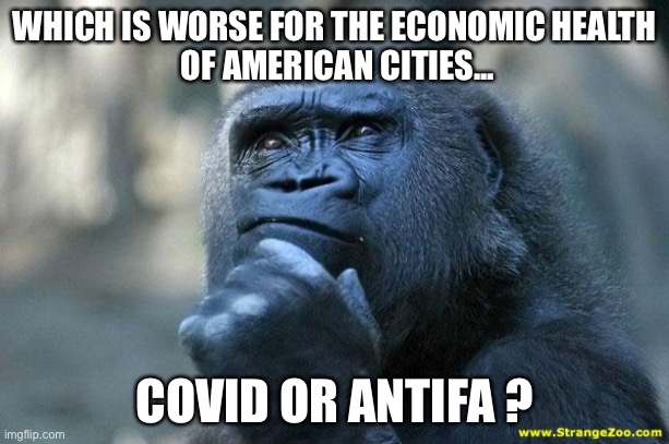 Deep Thoughts | WHICH IS WORSE FOR THE ECONOMIC HEALTH
 OF AMERICAN CITIES... COVID OR ANTIFA ? | image tagged in deep thoughts | made w/ Imgflip meme maker