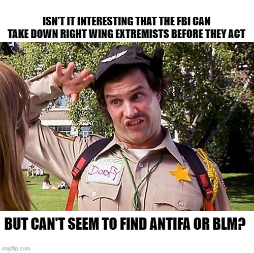 One group being treated like the criminals they are, while the other is treated like heros. | ISN'T IT INTERESTING THAT THE FBI CAN TAKE DOWN RIGHT WING EXTREMISTS BEFORE THEY ACT; BUT CAN'T SEEM TO FIND ANTIFA OR BLM? | image tagged in doofy,fbi,liberal hypocrisy,politics,antifa,blm | made w/ Imgflip meme maker