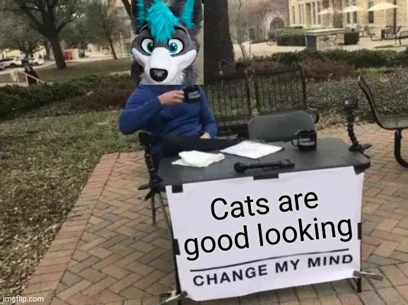 Change My Mind | Cats are good looking | image tagged in memes,change my mind | made w/ Imgflip meme maker