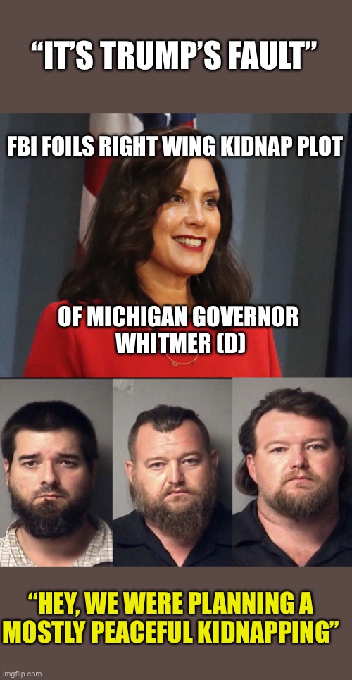Fringe Benefits | “IT’S TRUMP’S FAULT”; FBI FOILS RIGHT WING KIDNAP PLOT; OF MICHIGAN GOVERNOR 
WHITMER (D); “HEY, WE WERE PLANNING A
MOSTLY PEACEFUL KIDNAPPING” | image tagged in mostly peaceful,kidnapping,right wing,michigan governor,whitmer,trump | made w/ Imgflip meme maker