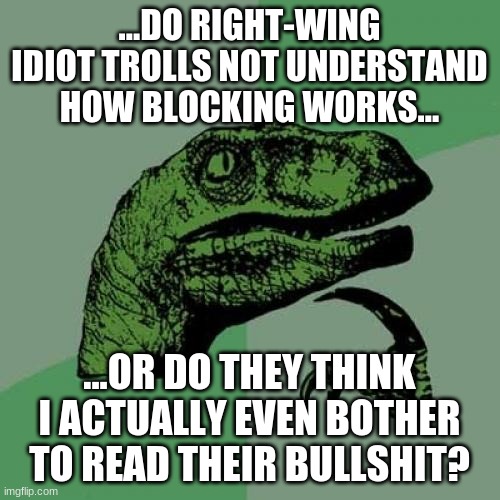 Philosoraptor Meme | ...DO RIGHT-WING IDIOT TROLLS NOT UNDERSTAND HOW BLOCKING WORKS... ...OR DO THEY THINK I ACTUALLY EVEN BOTHER TO READ THEIR BULLSHIT? | image tagged in memes,philosoraptor | made w/ Imgflip meme maker