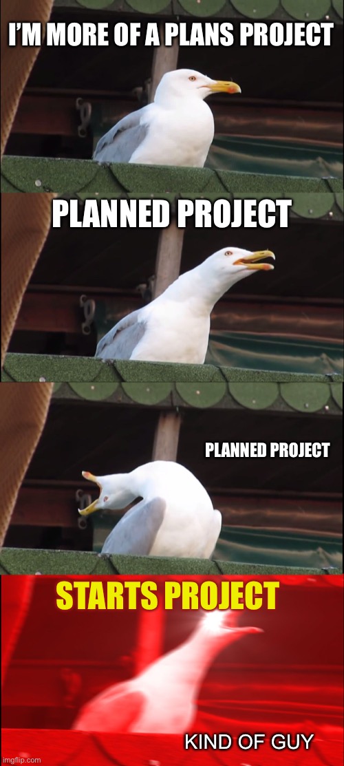 Inhaling Seagull Meme | I’M MORE OF A PLANS PROJECT PLANNED PROJECT PLANNED PROJECT STARTS PROJECT KIND OF GUY | image tagged in memes,inhaling seagull | made w/ Imgflip meme maker