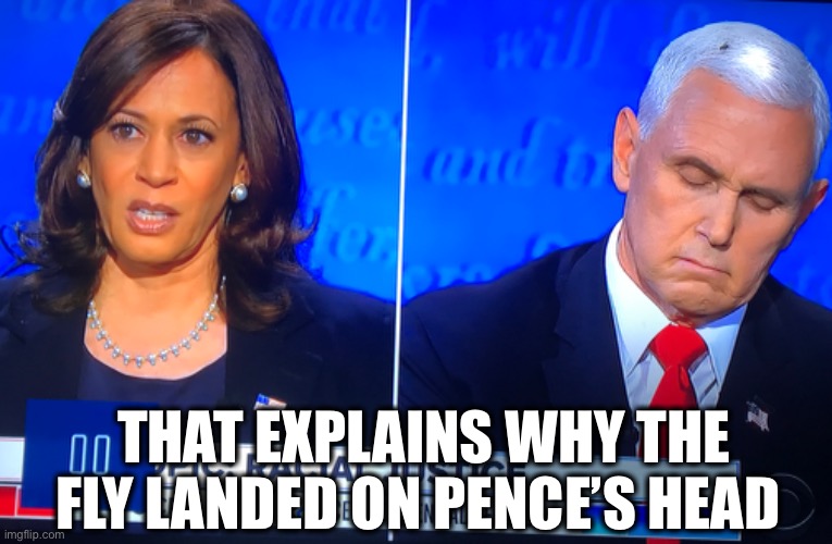 THAT EXPLAINS WHY THE FLY LANDED ON PENCE’S HEAD | made w/ Imgflip meme maker