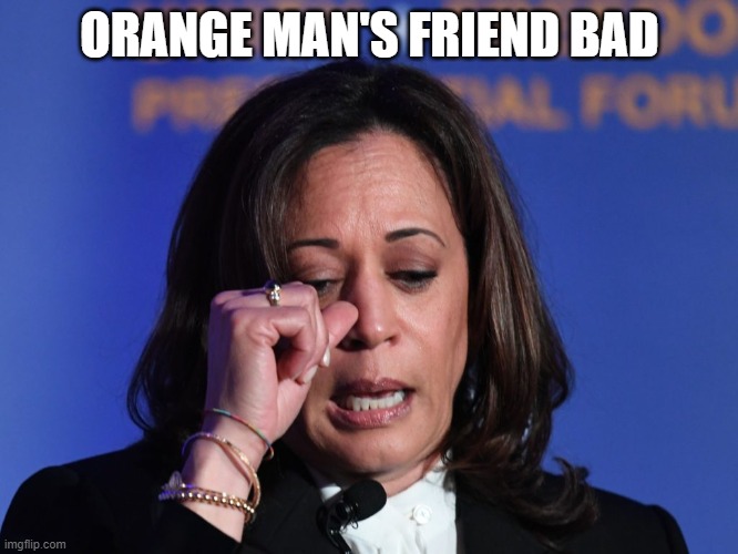 For God's sake, stop Mike...she's already dead... | ORANGE MAN'S FRIEND BAD | image tagged in kamala,pence,debate,whoopin' | made w/ Imgflip meme maker