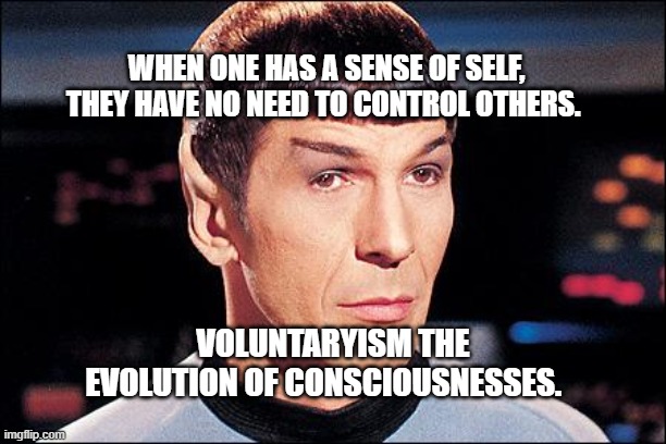 Condescending Spock | WHEN ONE HAS A SENSE OF SELF, THEY HAVE NO NEED TO CONTROL OTHERS. VOLUNTARYISM THE EVOLUTION OF CONSCIOUSNESSES. | image tagged in condescending spock | made w/ Imgflip meme maker