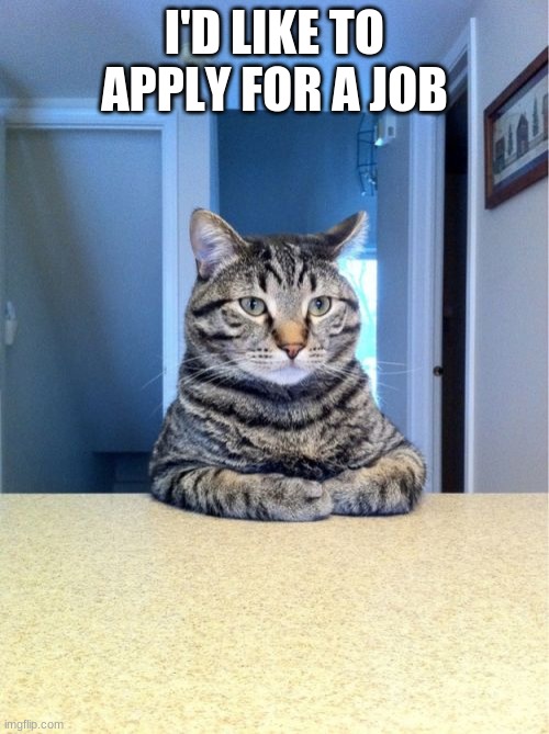 Take A Seat Cat | I'D LIKE TO APPLY FOR A JOB | image tagged in memes,take a seat cat | made w/ Imgflip meme maker