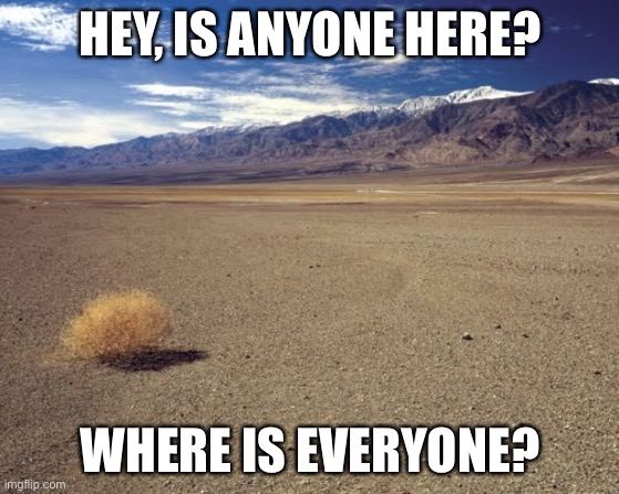 desert tumbleweed |  HEY, IS ANYONE HERE? WHERE IS EVERYONE? | image tagged in desert tumbleweed | made w/ Imgflip meme maker