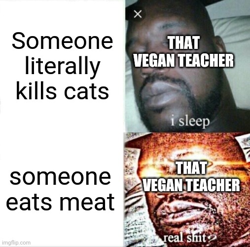 Sleeping Shaq Meme | Someone literally kills cats; THAT VEGAN TEACHER; someone eats meat; THAT VEGAN TEACHER | image tagged in memes,sleeping shaq | made w/ Imgflip meme maker