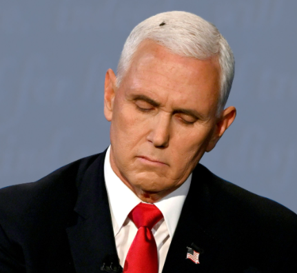 Vice President Pence, there's a fly on your head Blank Meme Template