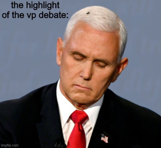 houston, we have a situation | the highlight of the vp debate: | image tagged in vice president pence there's a fly on your head | made w/ Imgflip meme maker