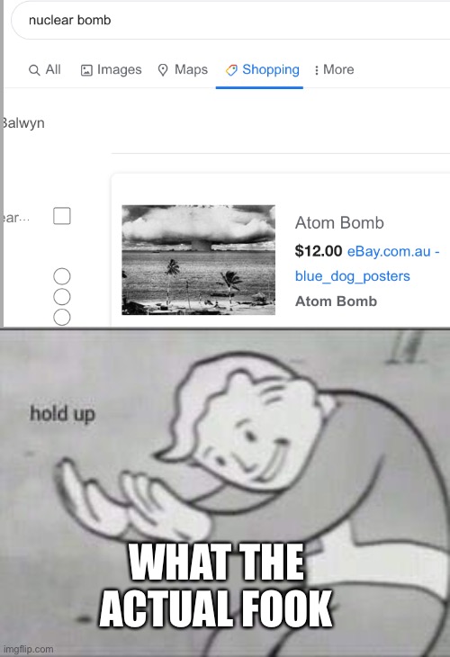 $12 atom bomb | WHAT THE ACTUAL FOOK | image tagged in fallout hold up | made w/ Imgflip meme maker