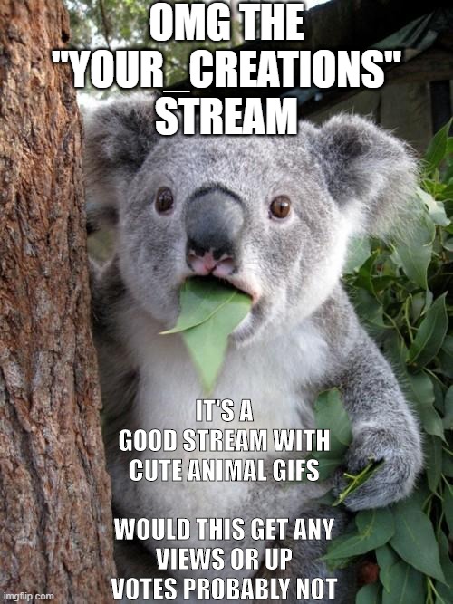 follow the Your_creations stream you can post there too | OMG THE "YOUR_CREATIONS" STREAM; IT'S A GOOD STREAM WITH CUTE ANIMAL GIFS
 
WOULD THIS GET ANY VIEWS OR UP VOTES PROBABLY NOT | image tagged in memes,surprised koala | made w/ Imgflip meme maker