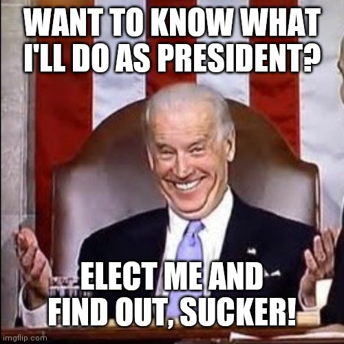 Biden sucker | WANT TO KNOW WHAT I'LL DO AS PRESIDENT? ELECT ME AND FIND OUT, SUCKER! | image tagged in joe biden | made w/ Imgflip meme maker
