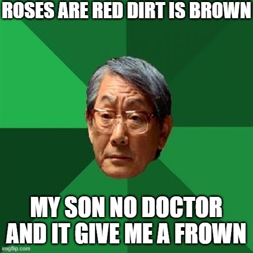 High Expectations Asian Father Meme | ROSES ARE RED DIRT IS BROWN MY SON NO DOCTOR AND IT GIVE ME A FROWN | image tagged in memes,high expectations asian father | made w/ Imgflip meme maker