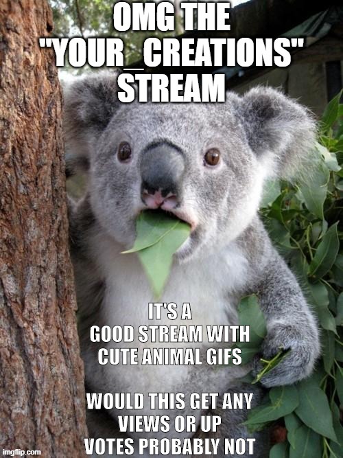 follow the Your_creations stream you can post there too | image tagged in koala,help,follow,idk not good,meme,maybe | made w/ Imgflip meme maker