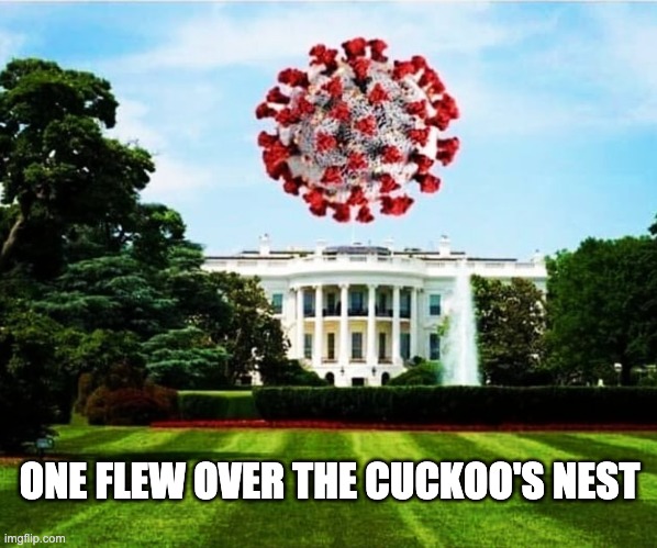 Pure madness | ONE FLEW OVER THE CUCKOO'S NEST | image tagged in white house,covid-19 | made w/ Imgflip meme maker
