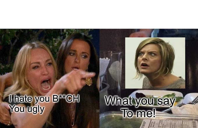 Woman yelling at "me" | I hate you B**CH 
You ugly; What you say 
     To me! | image tagged in memes,woman yelling at cat | made w/ Imgflip meme maker