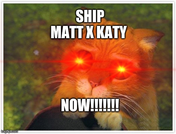 SHIP MATT X KATY; NOW!!!!!!! | image tagged in cats,memes | made w/ Imgflip meme maker