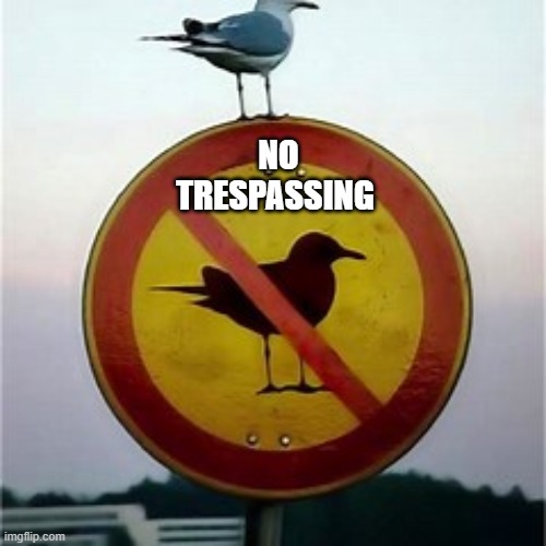 NO TRESPASSING | made w/ Imgflip meme maker