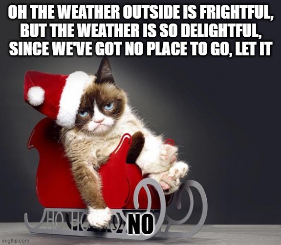 Grumpy Cat Christmas HD | OH THE WEATHER OUTSIDE IS FRIGHTFUL, BUT THE WEATHER IS SO DELIGHTFUL, SINCE WE'VE GOT NO PLACE TO GO, LET IT; NO | image tagged in grumpy cat christmas hd,memes,frank sinatra,meme,cats,christmas | made w/ Imgflip meme maker