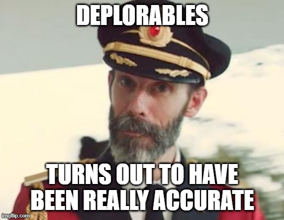 Captain Obvious | DEPLORABLES; TURNS OUT TO HAVE BEEN REALLY ACCURATE | image tagged in captain obvious | made w/ Imgflip meme maker