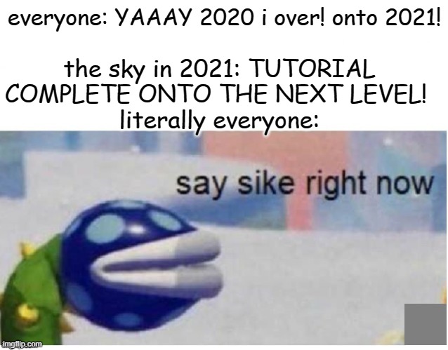 say sike right now | everyone: YAAAY 2020 i over! onto 2021! the sky in 2021: TUTORIAL COMPLETE ONTO THE NEXT LEVEL! 
literally everyone: | image tagged in say sike right now,2020,funny memes | made w/ Imgflip meme maker