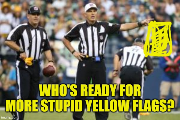nfl referee  | WHO'S READY FOR MORE STUPID YELLOW FLAGS? | image tagged in nfl referee | made w/ Imgflip meme maker