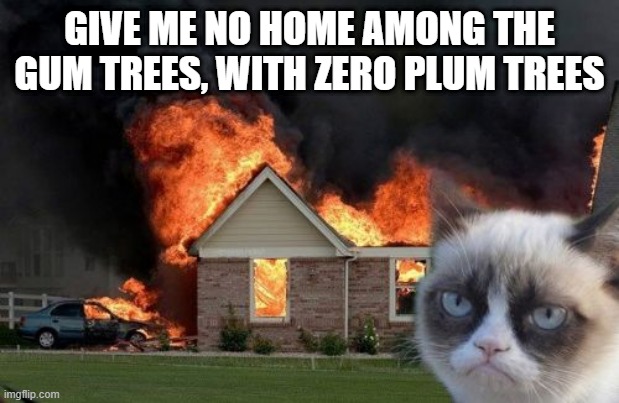 Burn Kitty | GIVE ME NO HOME AMONG THE GUM TREES, WITH ZERO PLUM TREES | image tagged in memes,burn kitty,grumpy cat,cats,meme,funny | made w/ Imgflip meme maker
