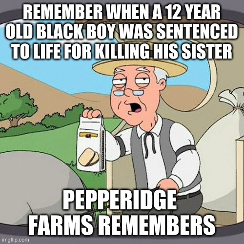 Pepperidge Farm Remembers Meme | REMEMBER WHEN A 12 YEAR OLD BLACK BOY WAS SENTENCED TO LIFE FOR KILLING HIS SISTER PEPPERIDGE  FARMS REMEMBERS | image tagged in memes,pepperidge farm remembers | made w/ Imgflip meme maker