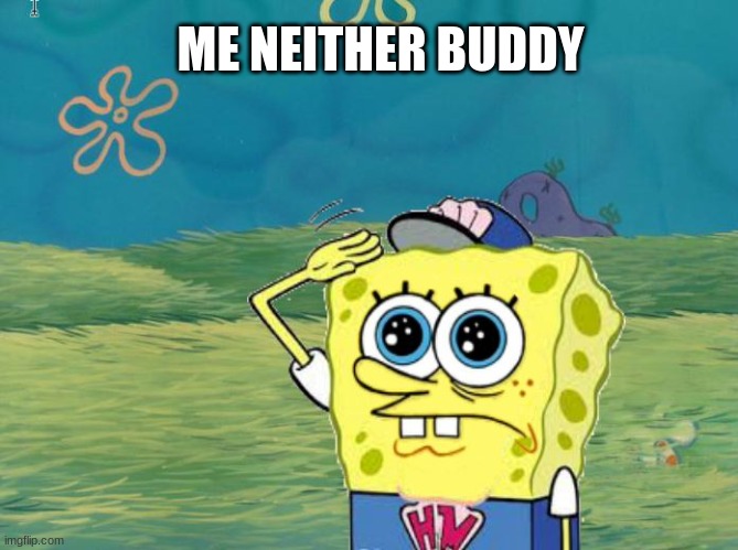 Spongebob salute | ME NEITHER BUDDY | image tagged in spongebob salute | made w/ Imgflip meme maker