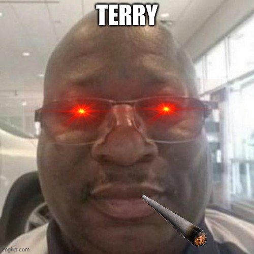 TERRY | image tagged in memes | made w/ Imgflip meme maker