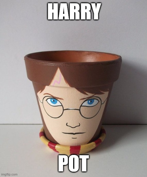 HARRY POT | image tagged in harry pottery | made w/ Imgflip meme maker