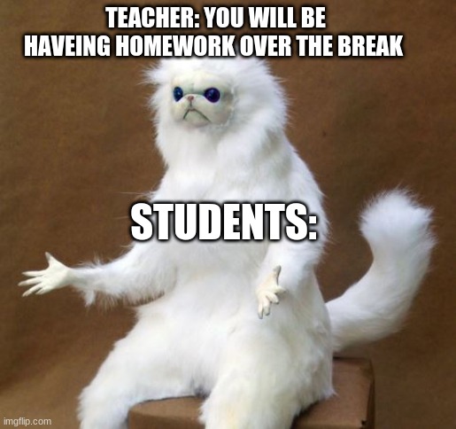 Persian white monkey | TEACHER: YOU WILL BE HAVEING HOMEWORK OVER THE BREAK; STUDENTS: | image tagged in persian white monkey | made w/ Imgflip meme maker