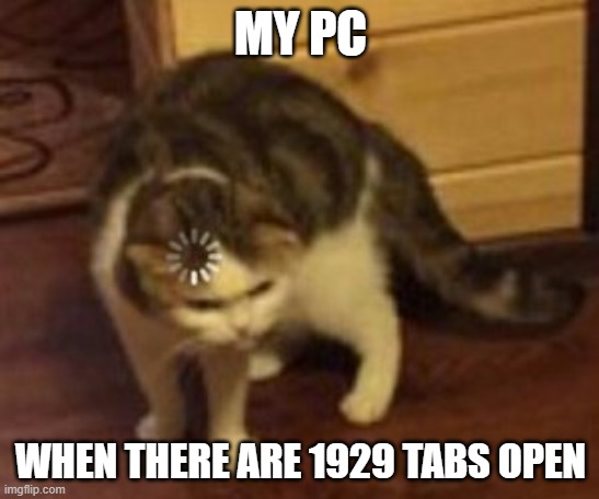 Loading cat | MY PC; WHEN THERE ARE 1929 TABS OPEN | image tagged in loading cat,1929 | made w/ Imgflip meme maker