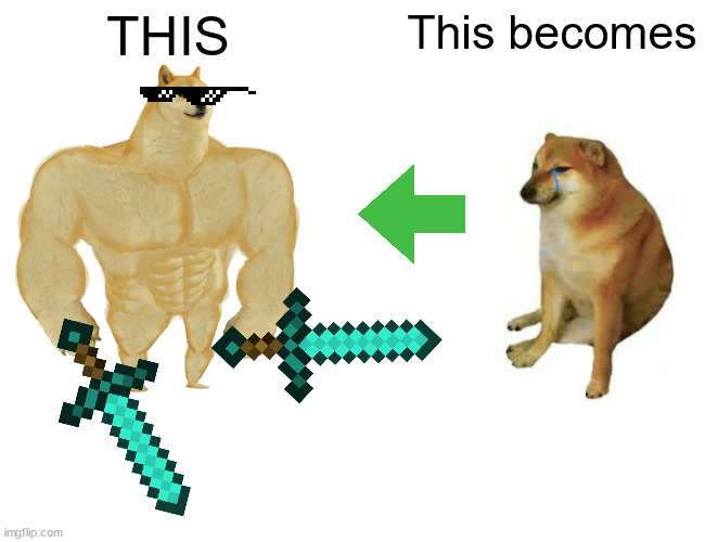 Crying dog becomes Pro dog | THIS; This becomes | image tagged in memes,buff doge vs cheems | made w/ Imgflip meme maker