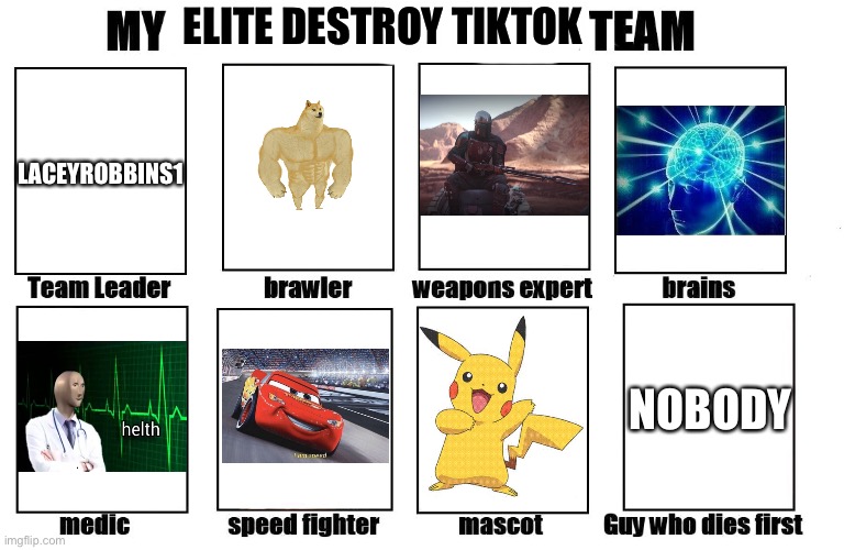 The most powerful Anti-TikTok elite team. | ELITE DESTROY TIKTOK; LACEYROBBINS1; NOBODY | image tagged in my zombie apocalypse team | made w/ Imgflip meme maker