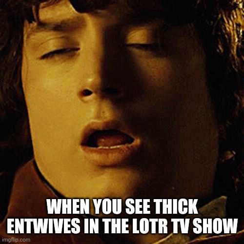 WHEN YOU SEE THICK ENTWIVES IN THE LOTR TV SHOW | made w/ Imgflip meme maker