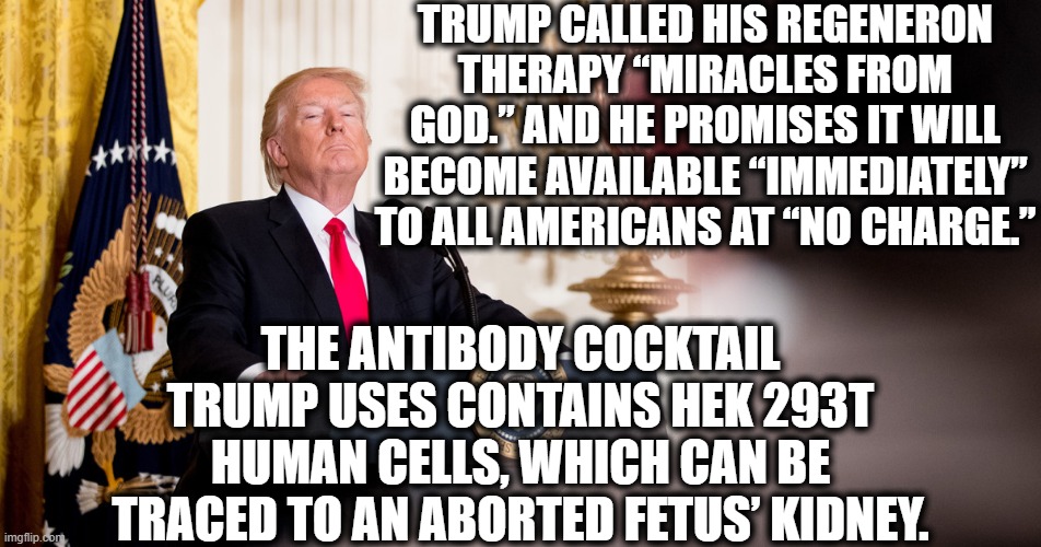 So much for the anti-abortion angle. | TRUMP CALLED HIS REGENERON THERAPY “MIRACLES FROM GOD.” AND HE PROMISES IT WILL BECOME AVAILABLE “IMMEDIATELY” TO ALL AMERICANS AT “NO CHARGE.”; THE ANTIBODY COCKTAIL TRUMP USES CONTAINS HEK 293T HUMAN CELLS, WHICH CAN BE TRACED TO AN ABORTED FETUS’ KIDNEY. | image tagged in donald trump,abortion,covid-19,science,traitor,coronavirus | made w/ Imgflip meme maker