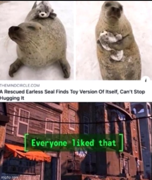 [Everyone liked that] | image tagged in cute,seals | made w/ Imgflip meme maker